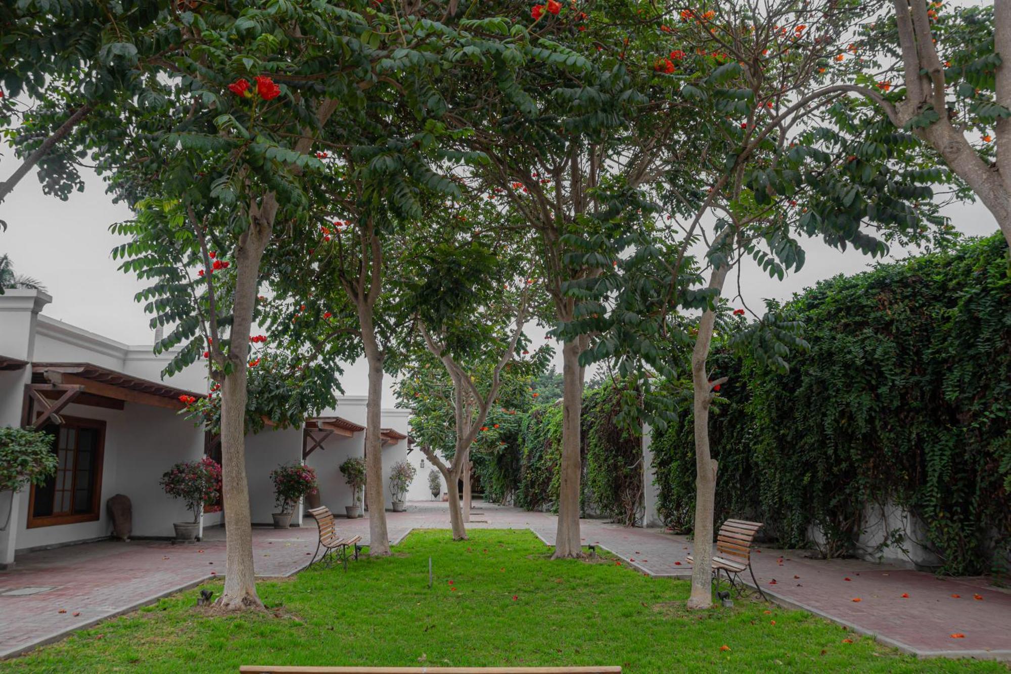 Casa Hacienda San Jose Hotell Chincha Alta Eksteriør bilde
